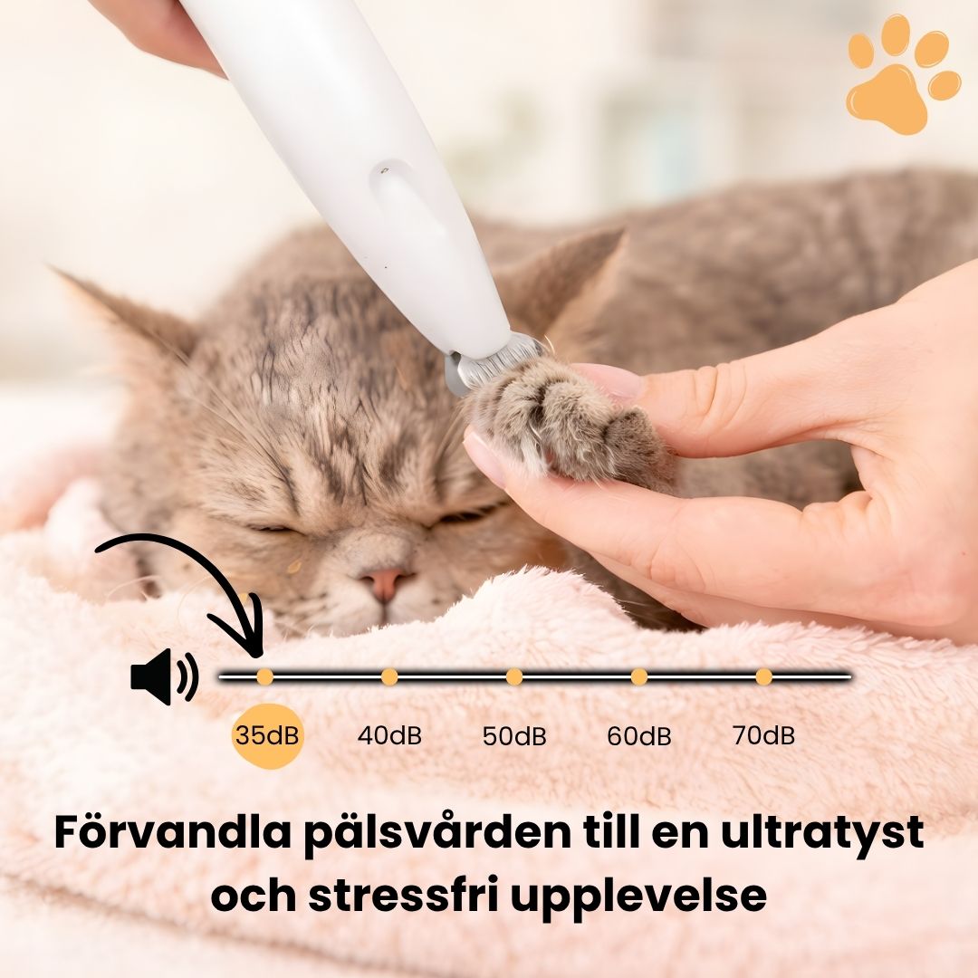 KittyTrim™ – Schützen Sie Ihre Katze vor Schmutz und Reizungen