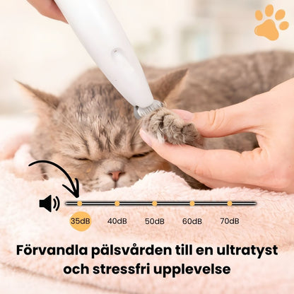 KittyTrim™ – Schützen Sie Ihre Katze vor Schmutz und Reizungen