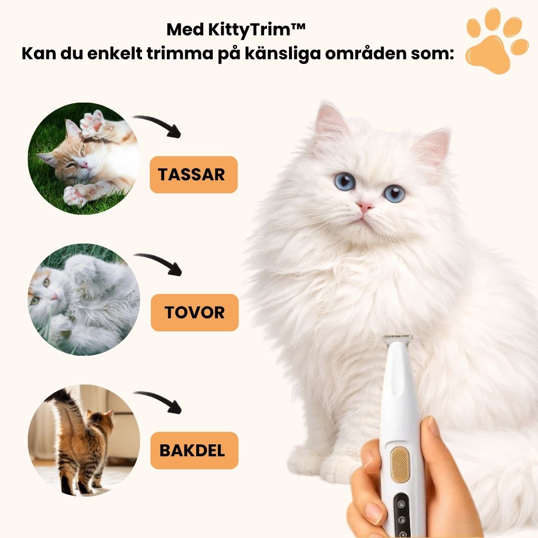 KittyTrim™ – Schützen Sie Ihre Katze vor Schmutz und Reizungen