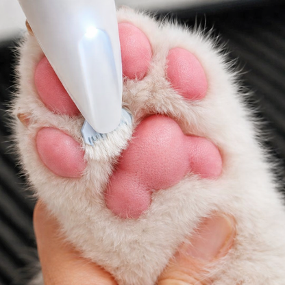 KittyTrim™ – Schützen Sie Ihre Katze vor Schmutz und Reizungen