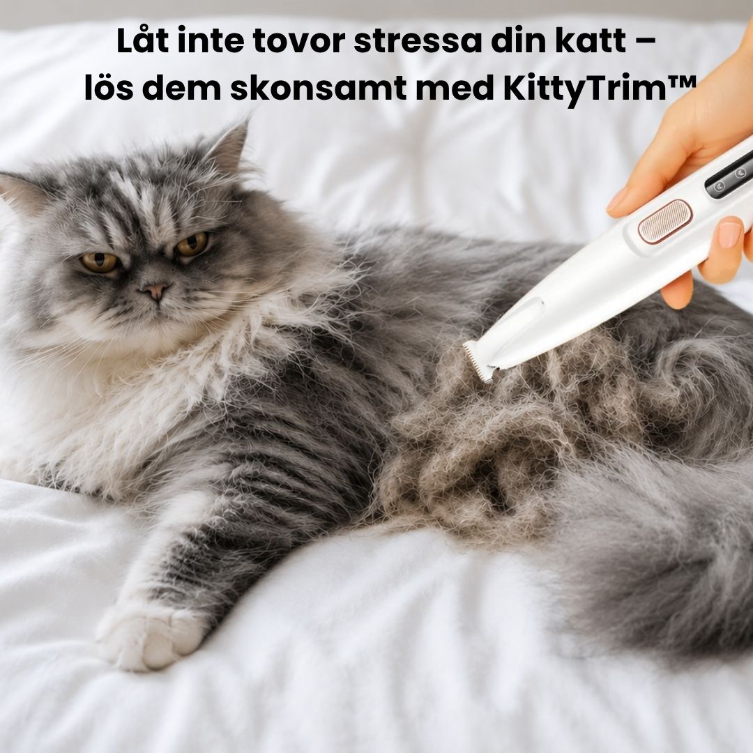 KittyTrim™ – Schützen Sie Ihre Katze vor Schmutz und Reizungen