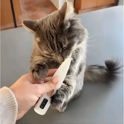 KittyTrim™ – Schützen Sie Ihre Katze vor Schmutz und Reizungen